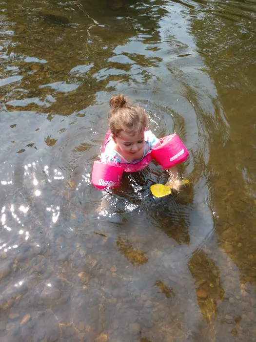 Pioneer Park Picture 1