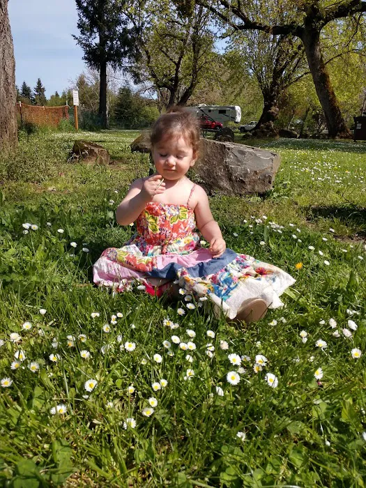 Pioneer Park Picture 6