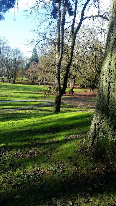 Pioneer Park Picture 10