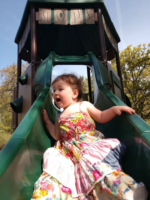 Pioneer Park Picture 9