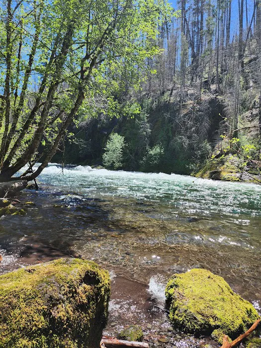 Whispering Falls Campground Picture 3