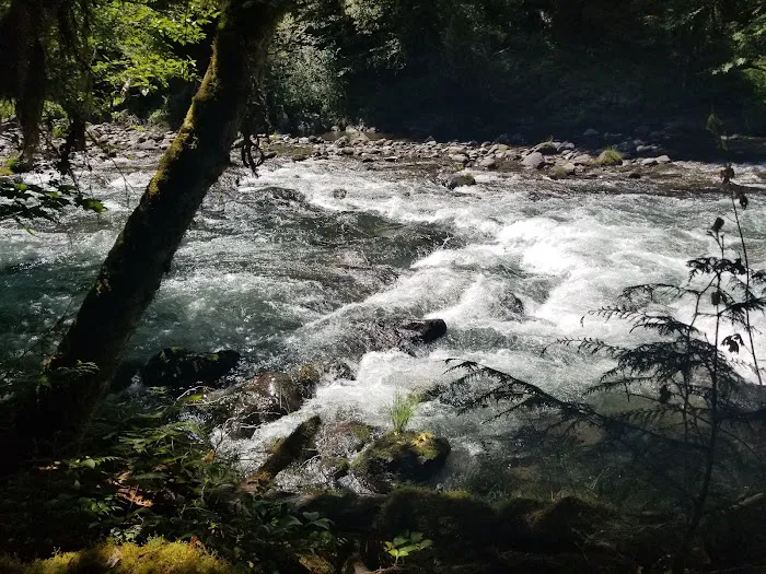 Whispering Falls Campground Picture 4