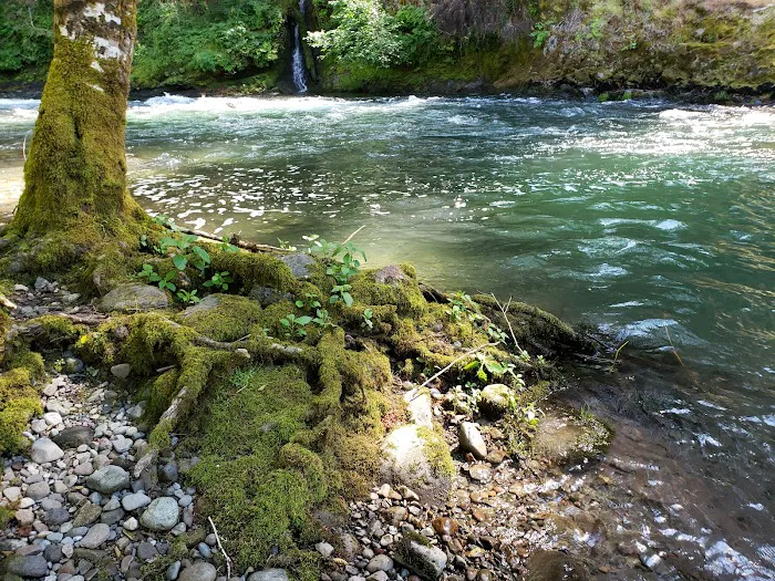 Whispering Falls Campground Picture 8