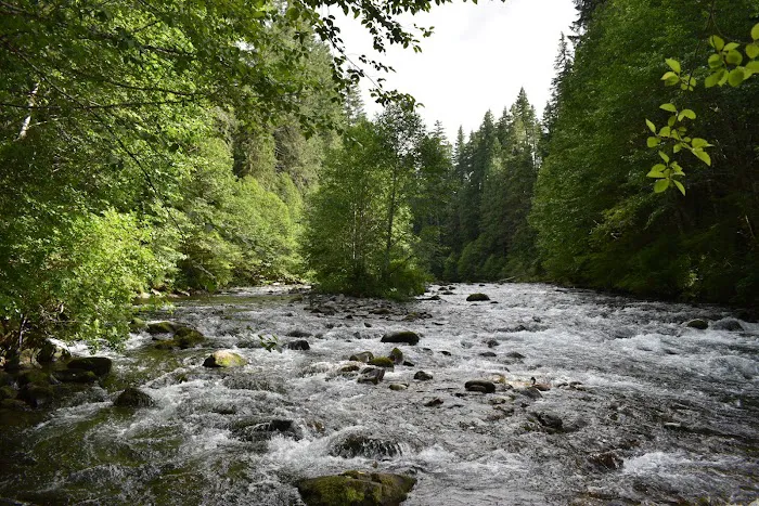 Riverside at Detroit Campground Picture 5