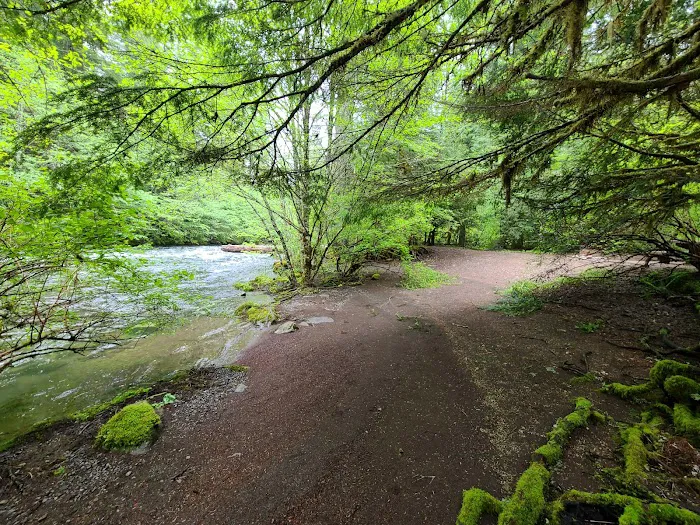 Riverside at Detroit Campground Picture 4