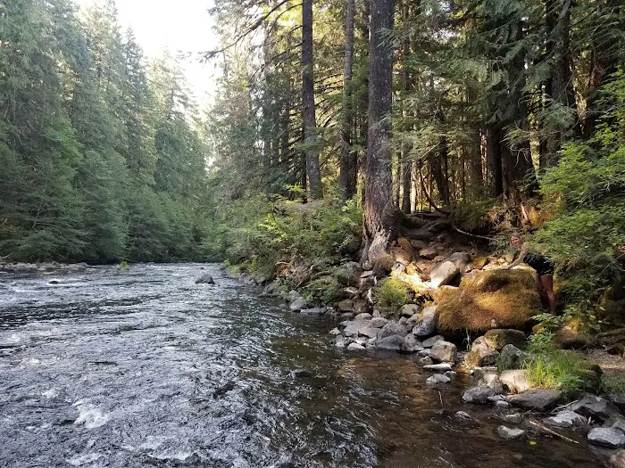 Riverside at Detroit Campground Picture 8