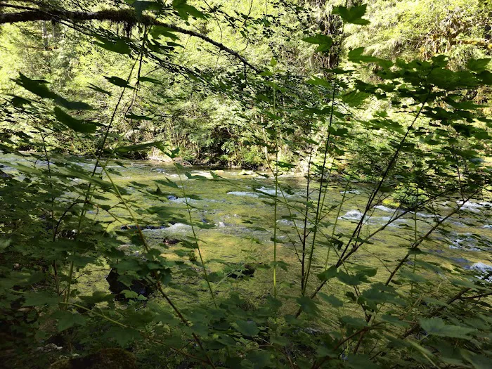 Riverside at Detroit Campground Picture 7