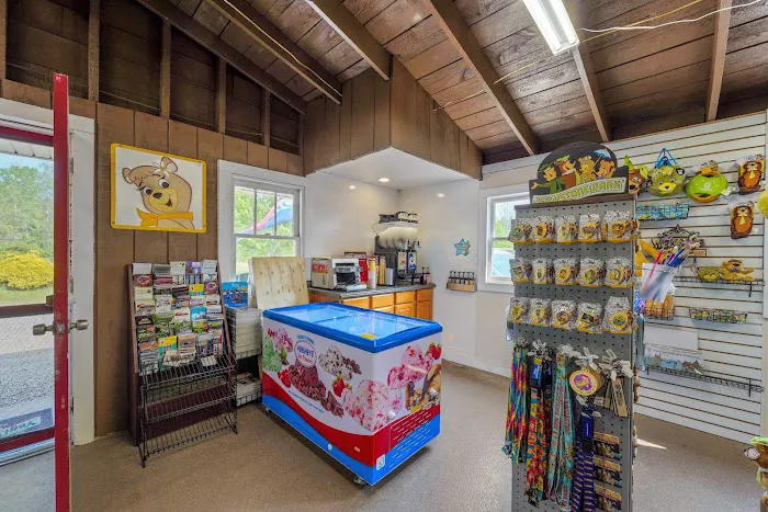 Jellystone Park™ Chautauqua County Picture 10