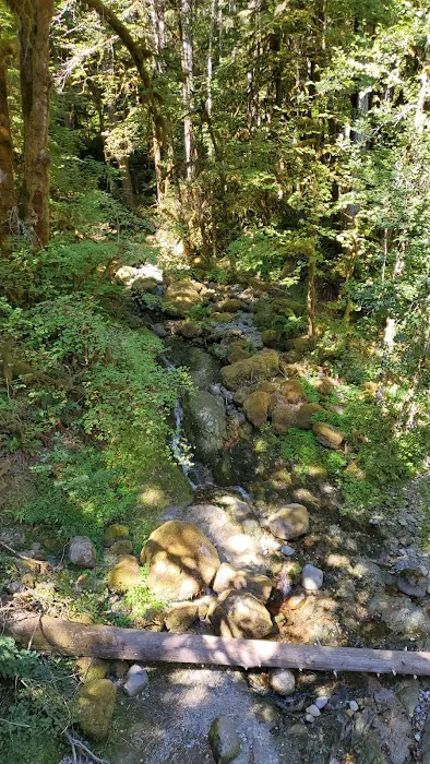 fernview group campground Picture 6