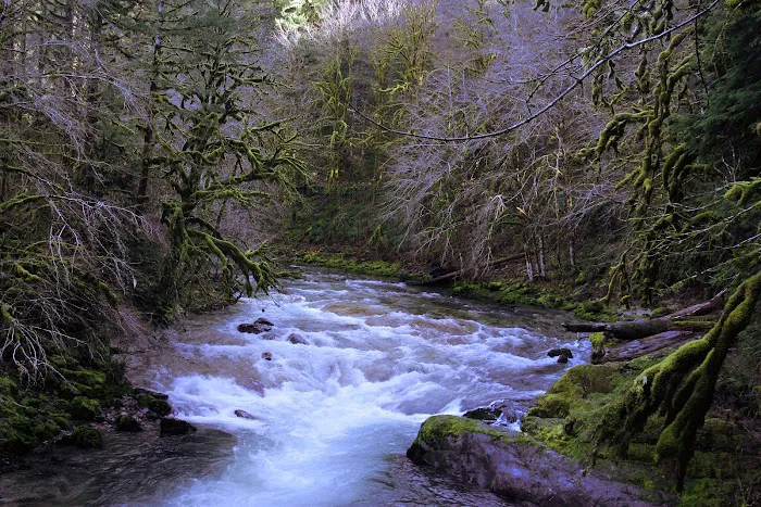 fernview group campground Picture 1