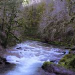 fernview group campground