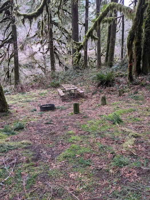 fernview group campground Picture 5