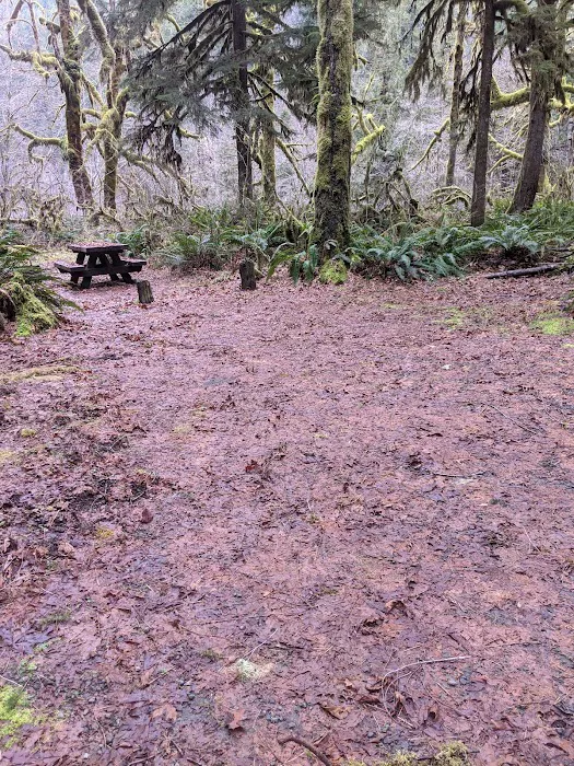 fernview group campground Picture 2