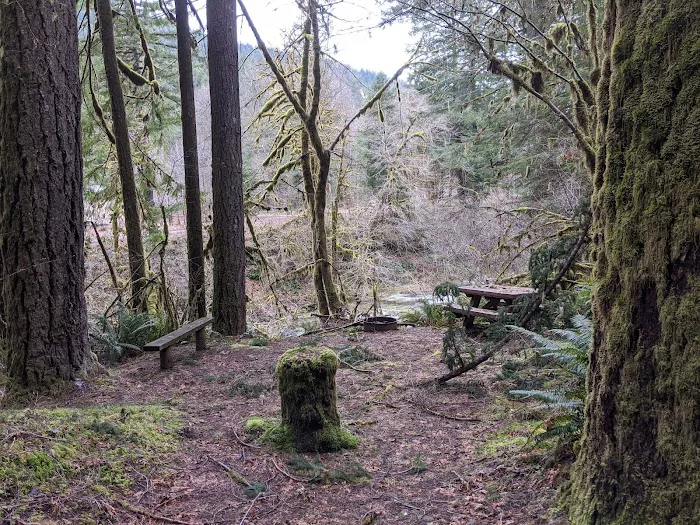 fernview group campground Picture 4