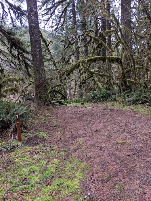 fernview group campground Picture 8