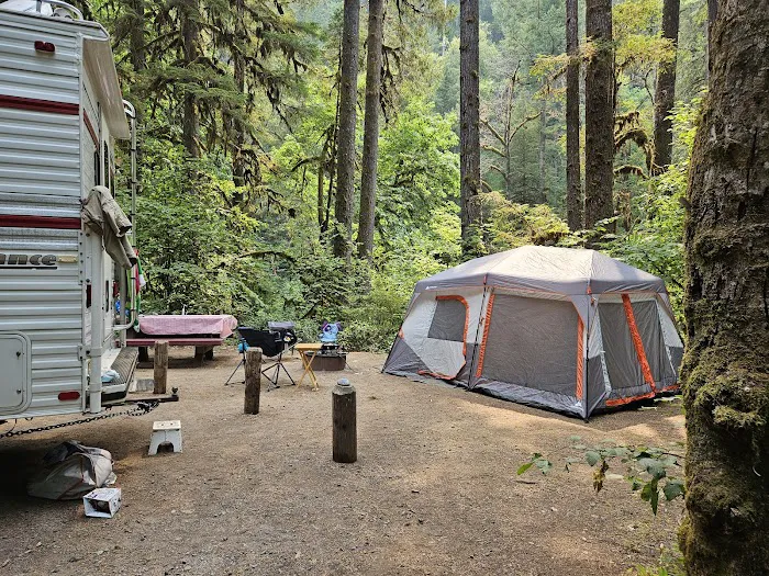 USFS: Trout Creek Campground Picture 4