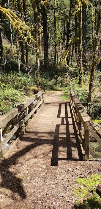 USFS: Trout Creek Campground Picture 5