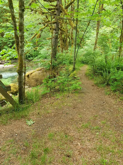 Yukwah Campground Picture 6