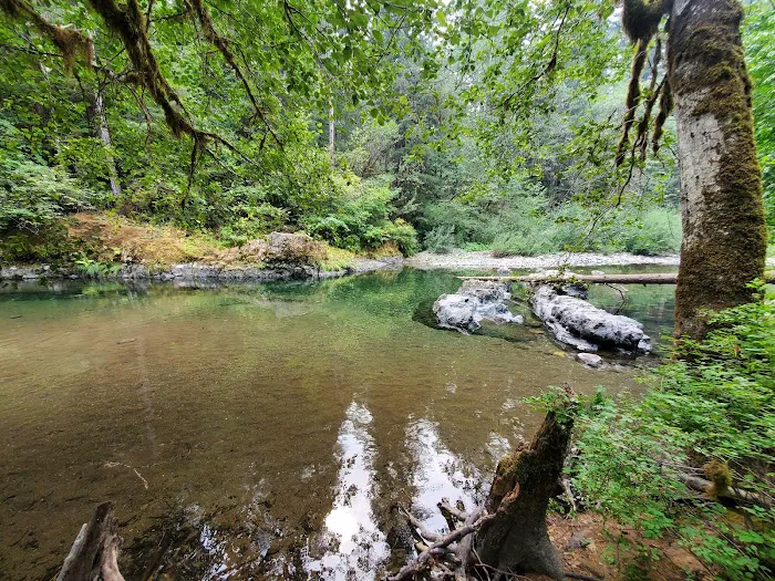 Yukwah Campground Picture 5