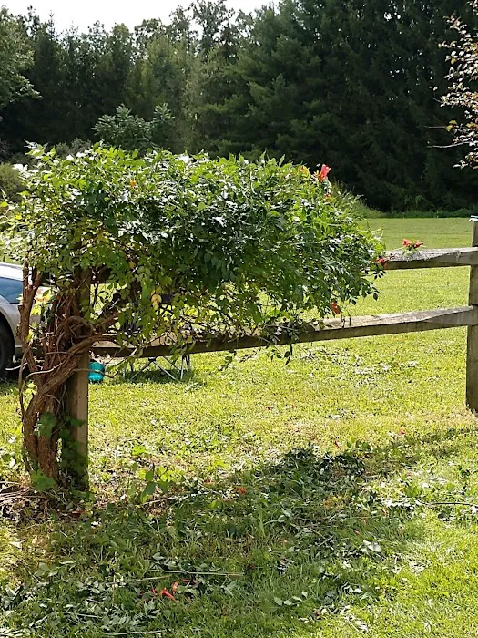 Pleasant Valley Mobile Home Community Picture 8