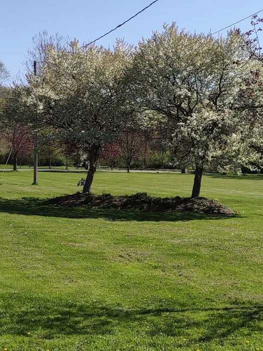 Pleasant Valley Mobile Home Community Picture 5