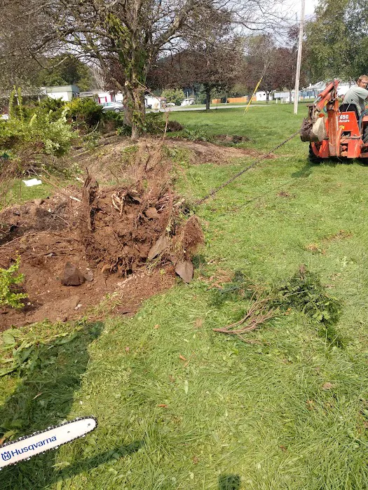 Pleasant Valley Mobile Home Community Picture 4