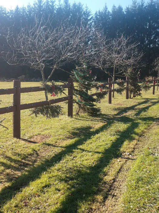 Pleasant Valley Mobile Home Community Picture 2