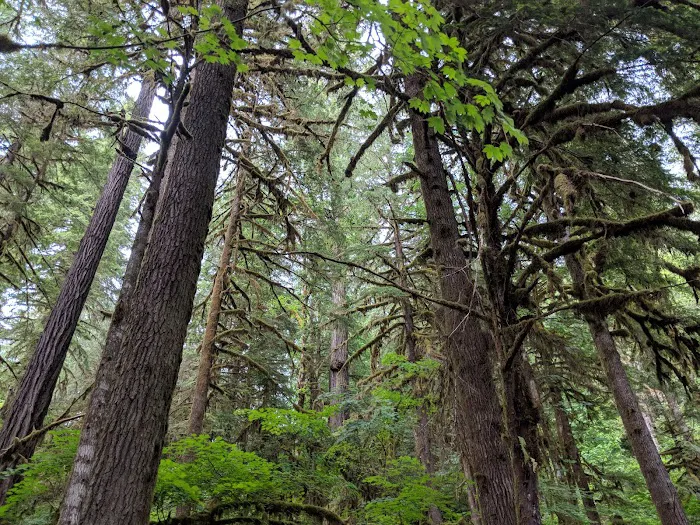 House Rock Campground Picture 9