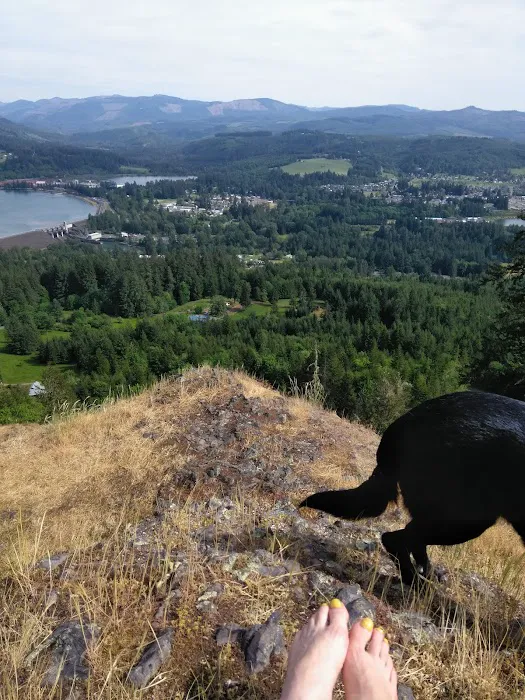 US Forest Service Picture 1