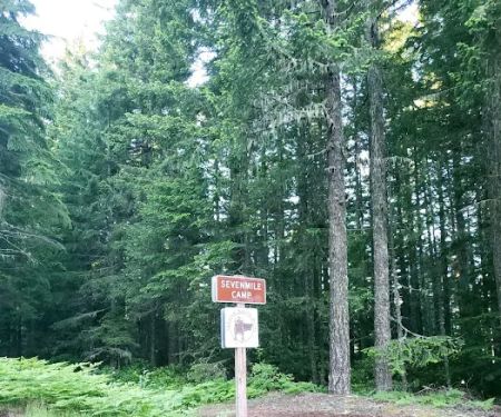 Sevenmile Horse Camp