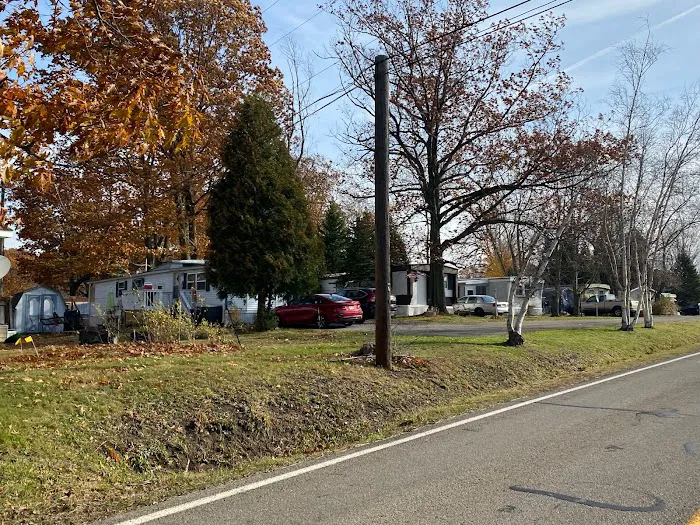 Spring Creek Picture 6