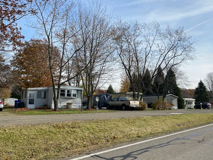 Spring Creek Picture 4