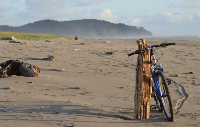 Long Beach Peninsula RV Park Picture 4