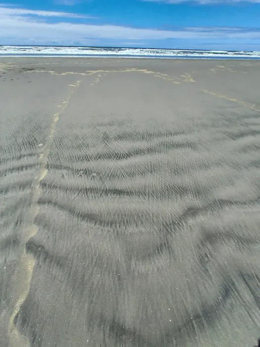 Long Beach Peninsula RV Park Picture 2