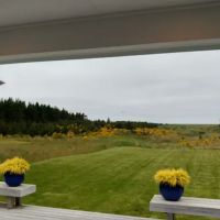 Crow's Nest RV Parkbeach ico