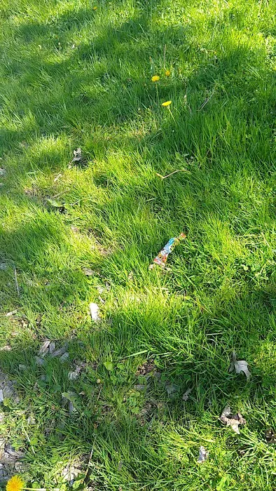 Summit Village Picture 6