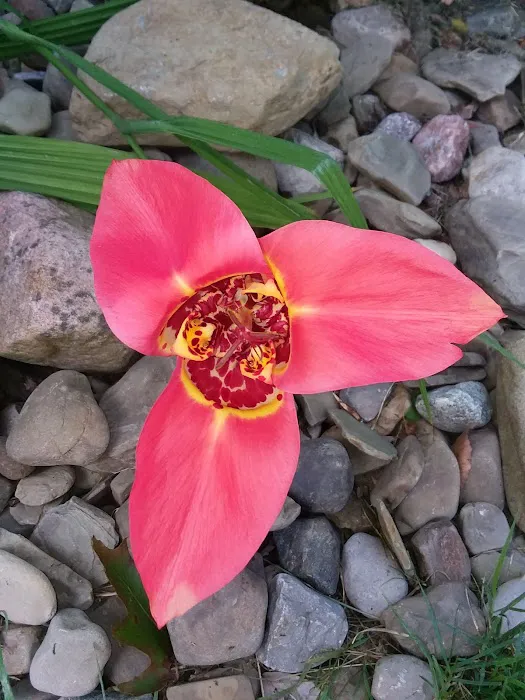 Popp's Mobile Home Park Picture 6