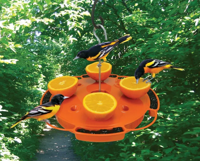 Popp's Mobile Home Park Picture 8