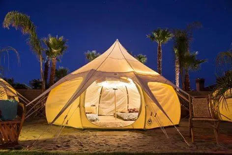 Ocean Lotus Picture 2