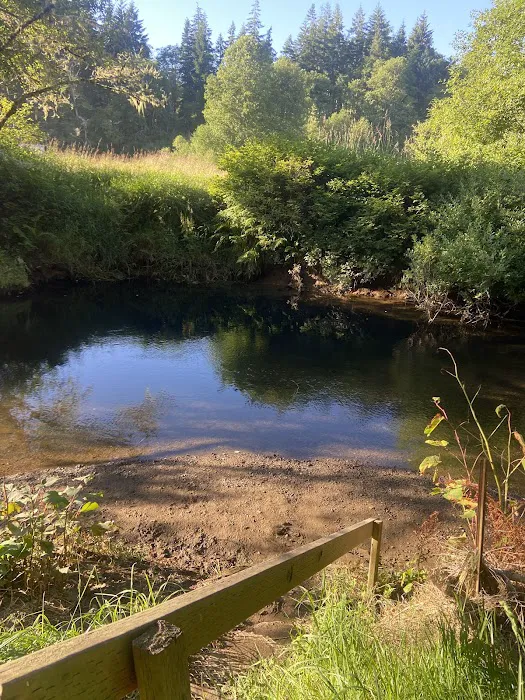 William's Park Campground Picture 3