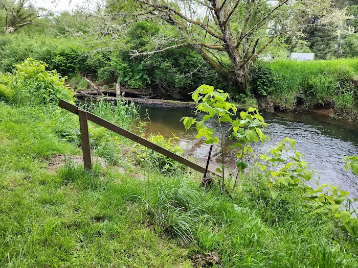 William's Park Campground Picture 1