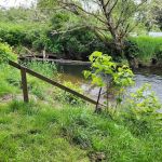 William's Park Campground