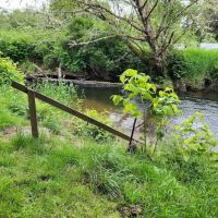 William's Park Campground ico