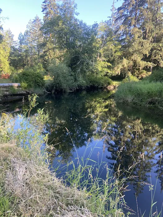 William's Park Campground Picture 2