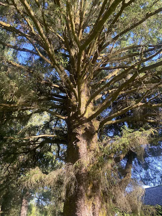 William's Park Campground Picture 4