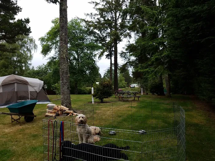 Evergreen Court & RV Park Picture 5