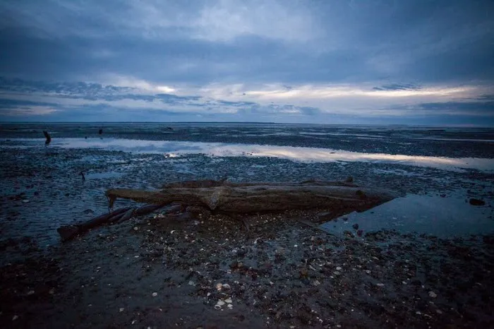 Bay Center / Willapa Bay KOA Holiday Picture 1