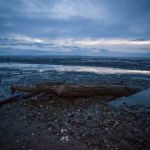 Bay Center / Willapa Bay KOA Holiday