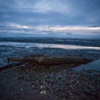 Bay Center / Willapa Bay KOA Holiday ico