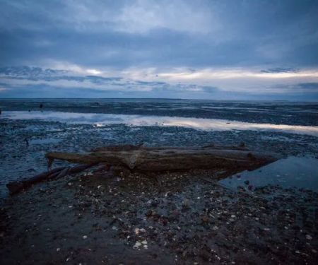 Bay Center / Willapa Bay KOA Holiday